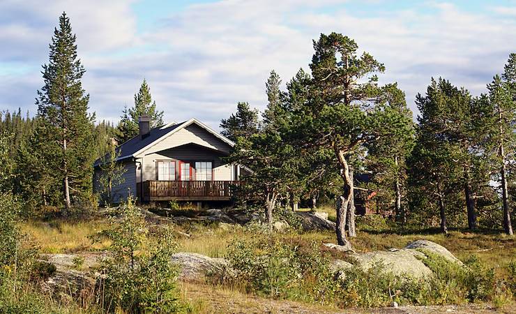 Navigating Your Construction Project: Simplified Cottage Building for Every Skill Level in Ontario