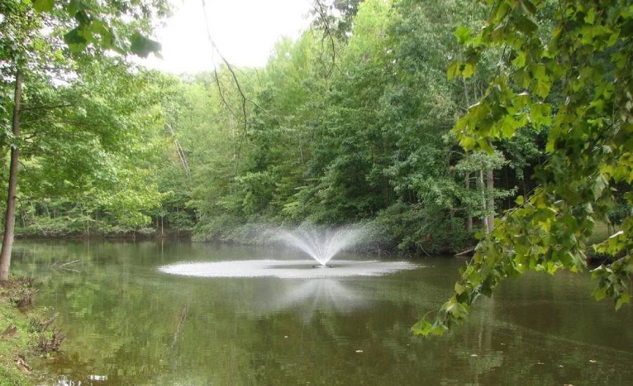 Soundscapes of Serenity: Harnessing the Auditory Appeal of Water Features